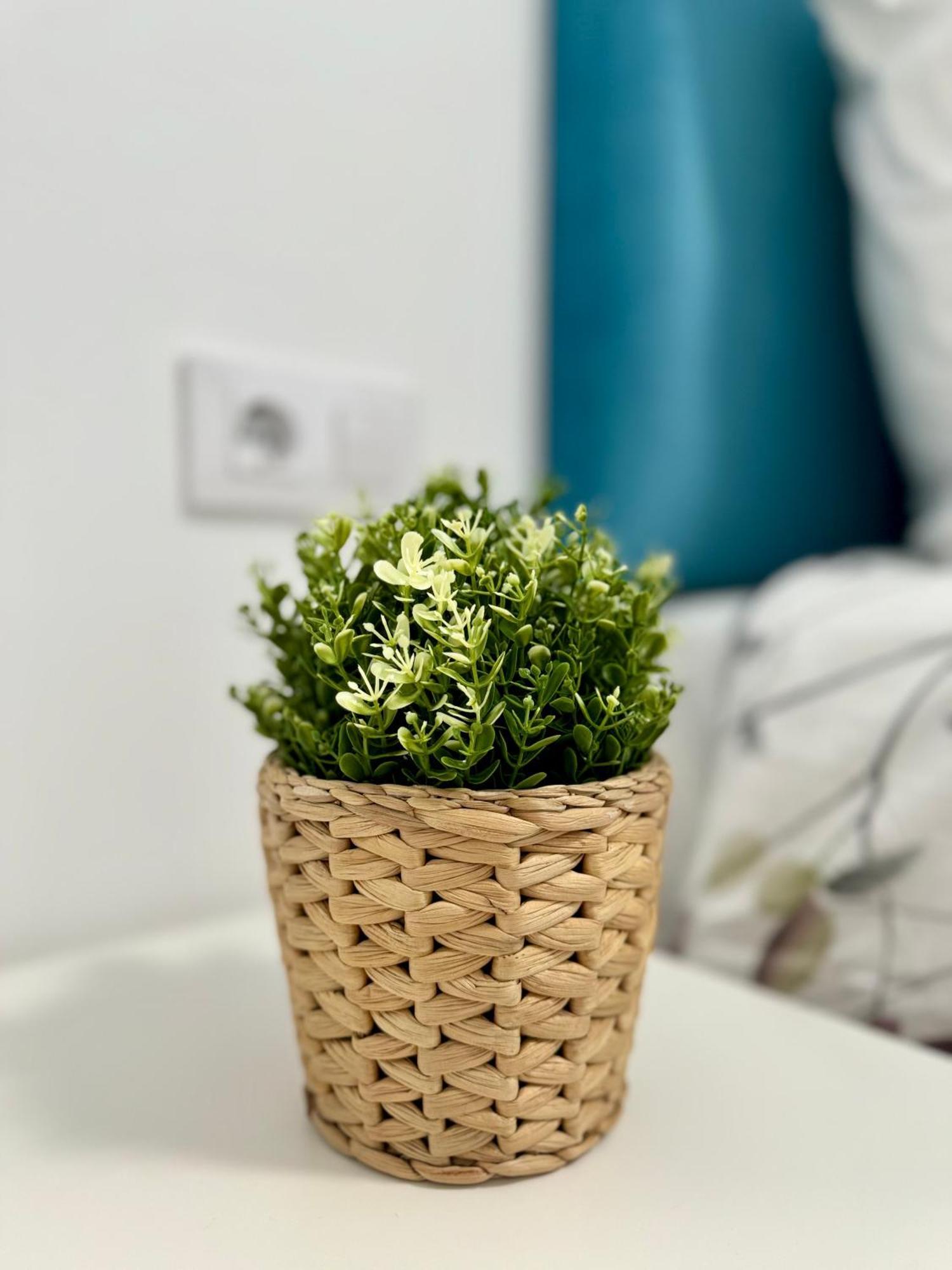 Apartamento Centrico Vigo Extérieur photo